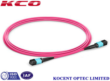 0.2dB Insertion Loss OM4 LSZH MPO MTP Trunk Cable 50/125 Multimode MPO MTP Patch Cord