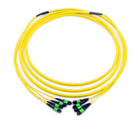4*8F 4*12F 4*24F MPO MTP Patch Cord Single Mode G657A1 MPO APC Trunk Cable with Type A Type B Type C Polarity