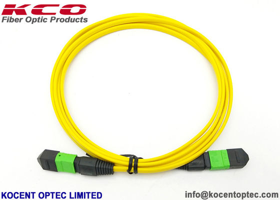 LSZH 8 Core G657A2 MPO MTP Patch Cord Single Mode MPO Trunk Cable Customized Length