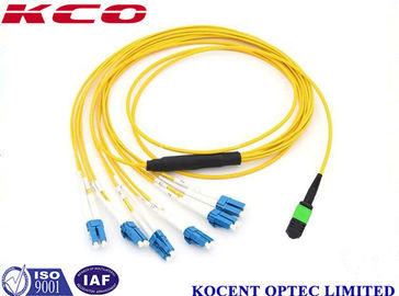 1260~1650nm MPO MTP Patch Cord and MPO Trunk Cable with 0.35dB Low Insertion Loss and 60dB Return Loss