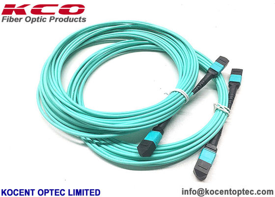 OM3 OM4 12fo 24fo 50/125 MPO MTP Patch Cord MPO Trunk Cable for Data Center